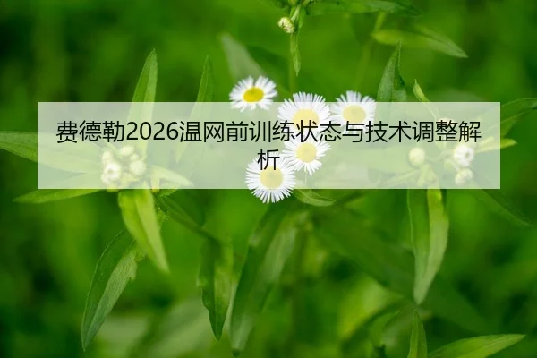 费德勒2026温网前训练状态与技术调整解析