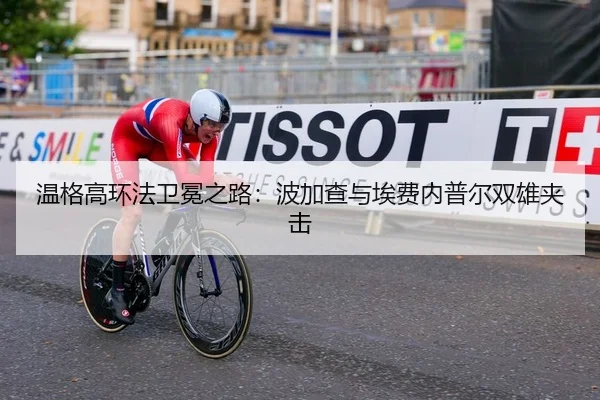 温格高环法卫冕之路：波加查与埃费内普尔双雄夹击